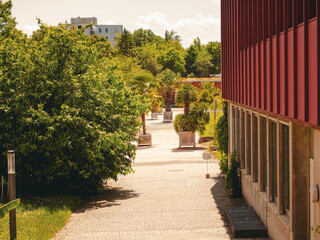 alley in the park