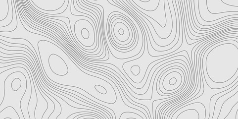 Grey wave paper curved reliefs topographic map contours line geographic abstract background, topographic pattern vintage detailed terrain texture grey contours vector geographic mountain relief grid.