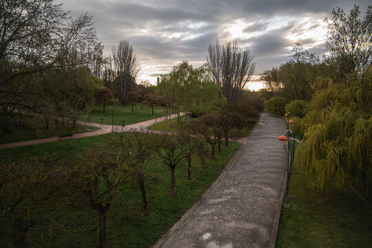 bridge in the park