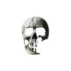  BROKEN SKELETON HEAD VECTORS