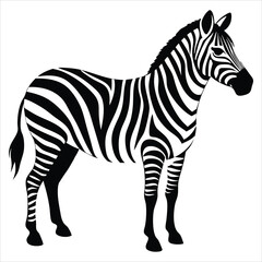 Obraz premium zebra animal silhouette vector