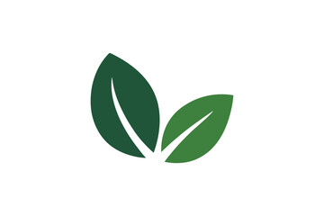 Two green leaves overlapping on a white background