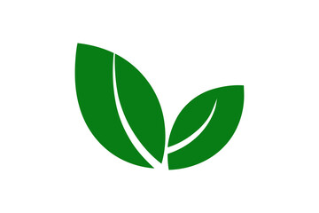 Illustration of two green leaves on a white background