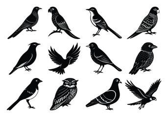 silhouettes of birds vector.bird silhouette vector illustration. Collection of isolated black crow silhouettes.