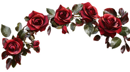 Romantic crimson roses arch a symbol of deep on transparent background