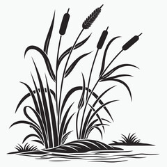 black and white flowers