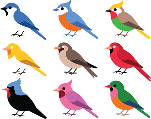 Colorful Cartoon Birds Illustration, Diverse Bird Collection, Vector Avian Set on White.