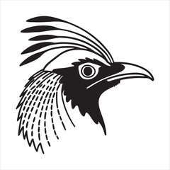 Indian Paradise Flycatcher – Elegant Streamer-Tailed Beauty of Indian Forests