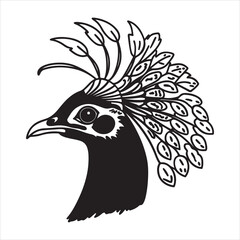 Himalayan Monal – Iridescent Beauty of the Himalayan Highlands