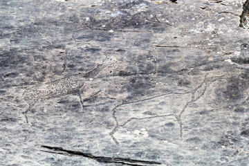 Petroglyphs of the tract kalbak-Tash is an archaeological complex in Ongudai district of the Altai Republic. Russia