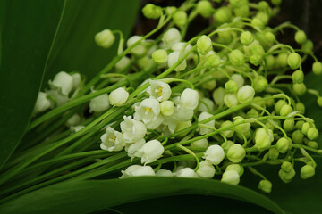 Bouquet of lilies of the valley. Romantic date. The concept of spring, may, summer.