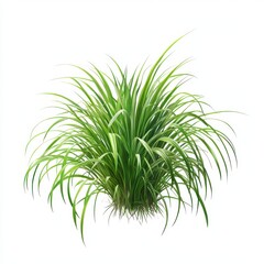 Fototapeta premium Lush Green Grass Bunch Isolated on White Background