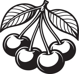cherry fruits vector illustration