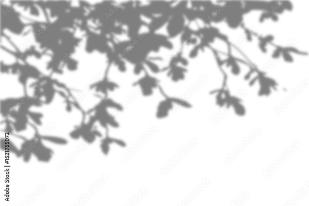 Poster natural realistic leaf shadow overlay on transparent background for spring and summer mockup for des