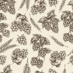 Hops and barley illustration for brewing