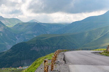Serpentine dangerous in the mountains of Georgia in summer