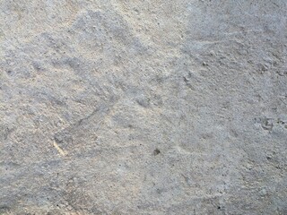 Close-up view of a textured light gray surface with natural patterns