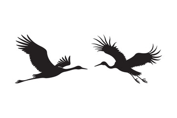 Obraz premium Crane Bird Flying Silhouettes Art