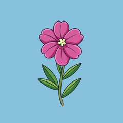 pink flower on blue background