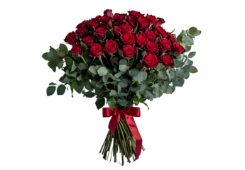 A bouquet of 30 red roses with a ribbon on a white background, a Valentine's Day gift for her