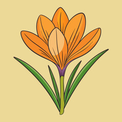 bouquet of orange flowers