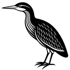 heron isolated on white