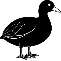 duck on white