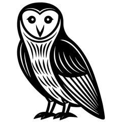owl on white background
