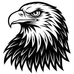 eagle vector illustration