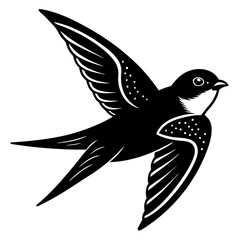 vector illustration of a bird