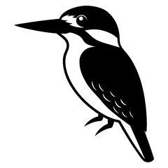 Fototapeta premium bird on a branch