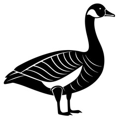 goose on white background