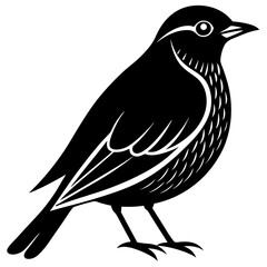bird on a branch