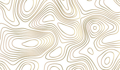 topographic map vector, imaginary landscape , black lines on white background. Topographic map. Vector background. Vector illustration