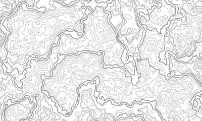 topographic map vector, imaginary landscape , black lines on white background. Topographic map. Vector background. Vector illustration