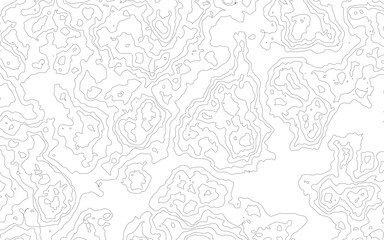 topographic map vector, imaginary landscape , black lines on white background. Topographic map. Vector background. Vector illustration