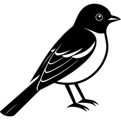 bird on a branch
