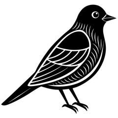 vector illustration of a bird