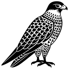 eagle on a white background