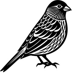 bird on a branch