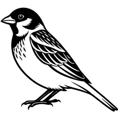 bird on a branch