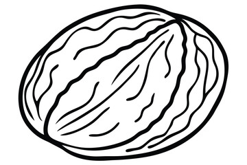 Abstract Outlined Whole Walnut Illustration with Black Lines and Wavy Textured Shell