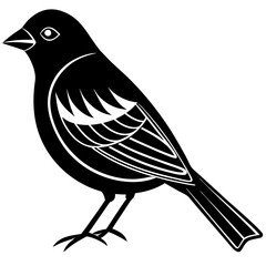 vector illustration of a bird