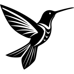 hummingbird vector illustration