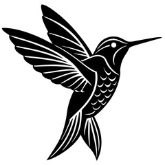 hummingbird vector illustration