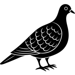 dove of peace