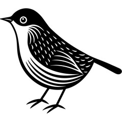 bird on a white background