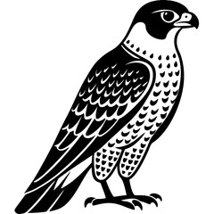 eagle on a white background