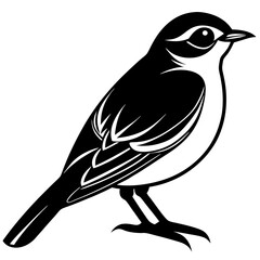 vector illustration of a bird