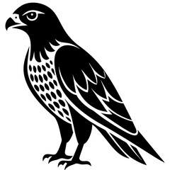 eagle vector illustration